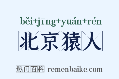 北京猿人是什么意思的图片
